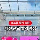 또로롱딸기농장 이미지