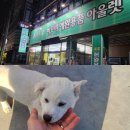 비오비애완용품아울렛 수송점 | 군산애견용품 아울렛 진돗개사료 간식 저렴하게 겟