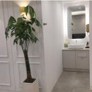 다라플란트치과의원 이미지