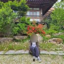 초당골한옥 이미지