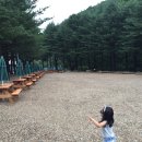 APS홍천연수원 이미지