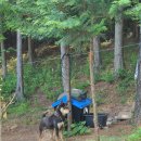 숲속의아침(선유원) 이미지