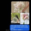 오이화원 | 웨딩촬영 생화부케 오이화원 내돈내산 후기