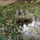 죽포미술관 이미지