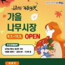 나무가든마켓
