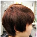 도도헤어(dodohair)