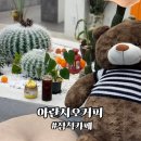아란시오커피 | 강원도 삼척 카페 아란시오 커피 친절과 불친절의 사이