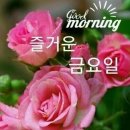 멋진친구 Daum카페