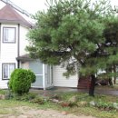 강가의 낙원펜션 이미지