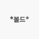 볼드체 이미지