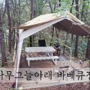 나무그늘 행정사사무소 | 파주 가성비 좋은 &#39;나무그늘아래바베큐장&#39; 당일 캠핑장 후기. (내돈내산)