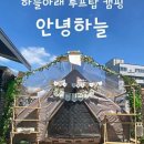 안녕, 하늘아
