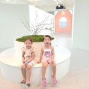 효성반디어린이집 이미지