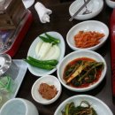 사계절보신탕 이미지