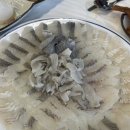 갈매기횟집 | 동해 묵호여행 자연산회가 있는 바닷가 갈매기횟집