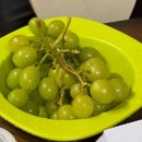 송도 맥주 축제 다녀오고 맛있는거 먹는 일상.zip