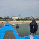 조개사랑 | 대천해수욕장 맛집 조개사랑 회사랑에서 조개구이 무한리필 먹고 온 후기