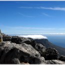 신원덴탈(주) 이미지