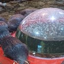 경남 사천 늑도 티스토리