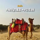 서남(서부) | 인도 배낭 여행 코스 자이살메르 1박 2일 사막투어 후기