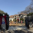 레몬이네 그루밍샵 | 김포 애견동반 유럽 감성 카페 [ 하이 베를리너 김포본점 ]