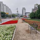 내토로59길 이미지