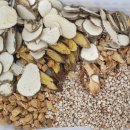 거여경희한의원 이미지