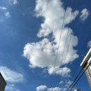 금산시장 | [충청남도 금산 스트릿 댄스공연 마친 후기] 동화나라 금빛시장 7月 월장