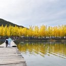 소금강낚시터