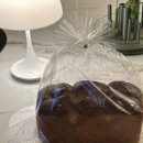 디노브런치 이미지