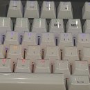 아이센스블랙라벨PC존 이미지