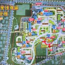 롯데캐슬골드포레공인중개사사무소 | 연산 롯데캐슬골드포레 아파트 초급매 84m2(구35형) B 타입
