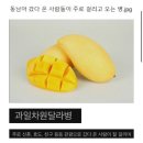 금오청소나라 | 🇻🇳 겨울여름나라