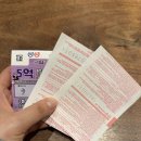 하티젤 네이버블로그