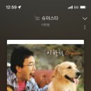 하시라도 이미지