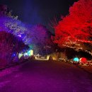 루나폴 | 제주 야간 관광지 '루나폴'｜제주 서귀포 테마파크 후기 + 할인정보