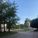 세림장 이미지