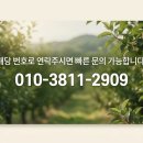 도림마트 | 음성 햇사레 복숭아 농장 도림농원