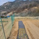 대건농장 이미지