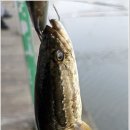 성화낚시터 이미지