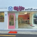 멍블리살롱 이미지