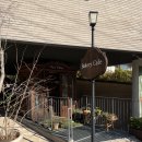 자연알로(성남) | 분위기 좋은 성남 브런치카페 오야밸리 방문 후기