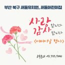 새들유치원 이미지