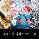 노아