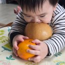 뉴욕바닷가재 | 통영 뉴욕바닷가재 영덕대게 킹크랩 후기