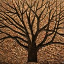 미스타페오 이미지