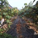 원원농장 이미지