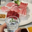 본참치 이미지