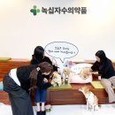 녹십자동물병원 이미지