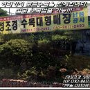 대성조경농원 이미지